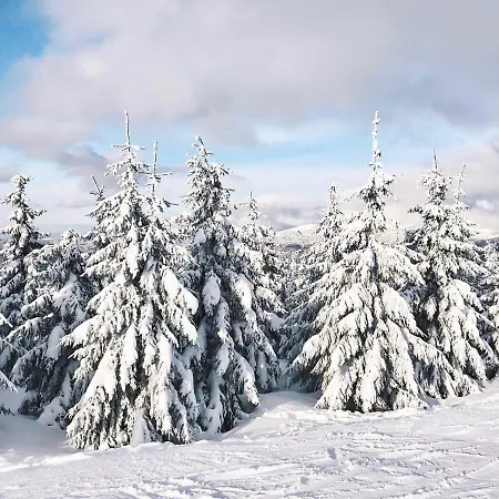 - Apartamento Špindlerŭv Mlýn